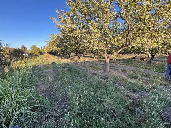 Parcela En Venta En Pirque Comunidad Las Palomas