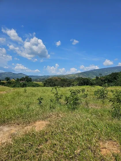 En Venta Finca Agropecuaria Ubicada En Nirgua Sector Temerla Yaracuy. St
