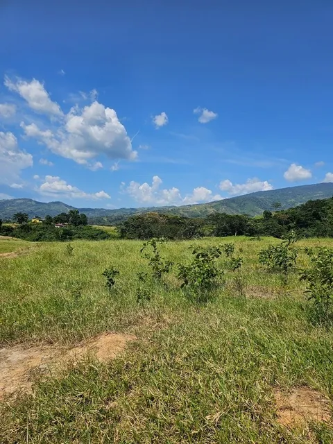 En Venta Finca Agropecuaria Ubicada En Nirgua Sector Temerla Yaracuy. St