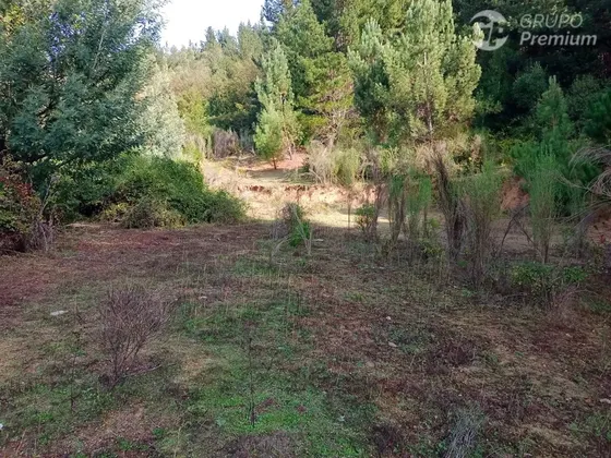 Sitio En Venta En Quirihue