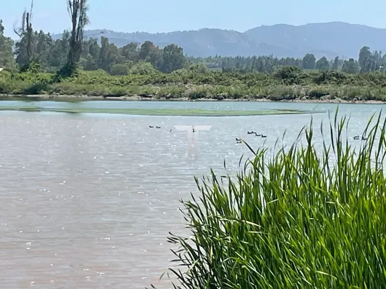 Venta Parcela Melipilla