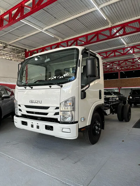 Isuzu Npr Npr