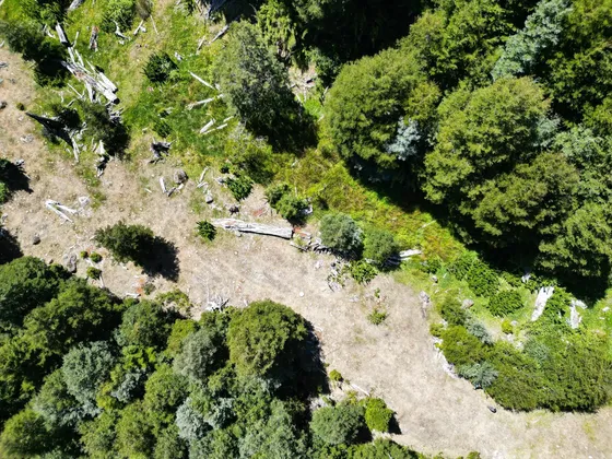 Se Vende Hermoso Campo De 10 Hectáreas Alpehue Melipeuco