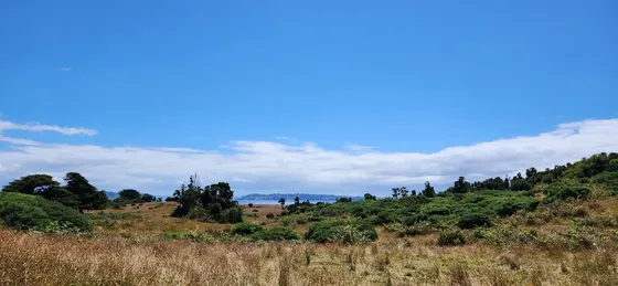 Parcela Con Vista Al Mar Y Acceso A La Playa En Isla Quenac