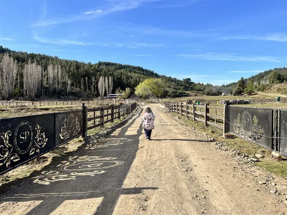 Parcela En Venta En Cauquenes