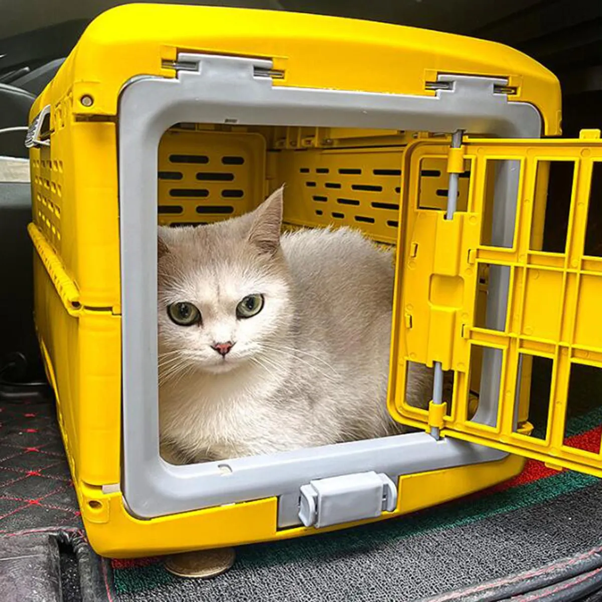 Jaula Plegable Para Cachorros Transportín Para Amarillo