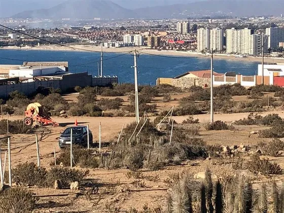 Sitio En Coquimbo