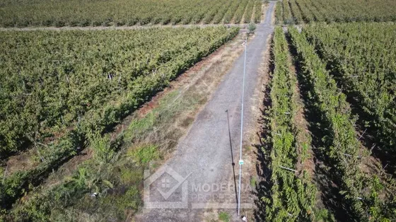 Agrícola En Venta En San Rafael