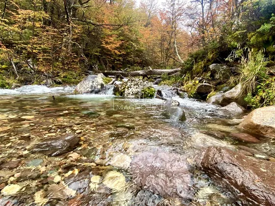 Sitios En Venta En Coihaique