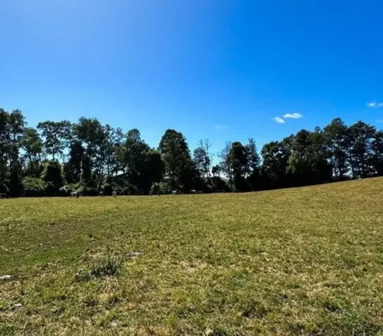 Agrícola En Venta En Río Bueno