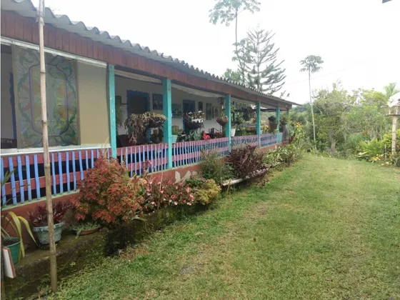 Se Vende Finca 17 Cuadras  Filandia-quindío 