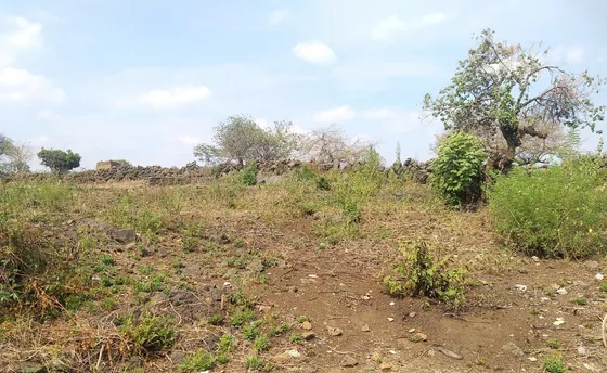 Terreno En Tlayacapan, 1000 M2