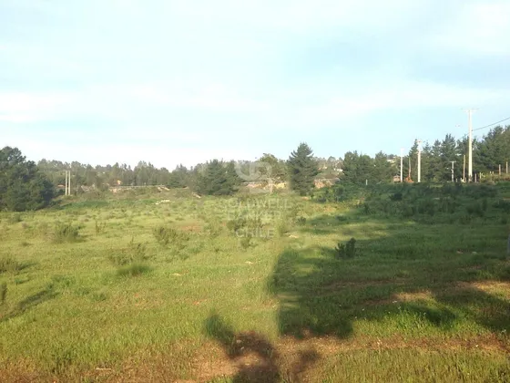Algarrobo Norte Con Acceso Controlado. 5.000 Mts.