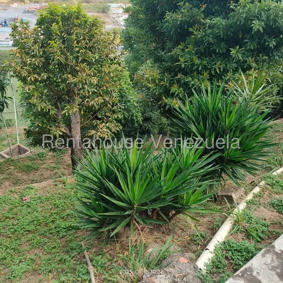 Casa En Alquiler Caurimare Mls #25-9503