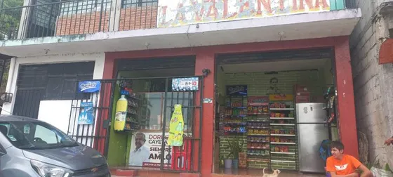 Venta Locales Com. Y Departamento La Valentina Papantla Ver