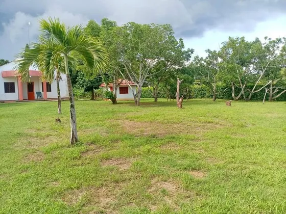 Cf  Vendo Finca En Sabana Del Medio Barrera , Tocuyito Libertador Terreno  4681mts2