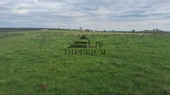 Venta Campo 213 Hectáreas En Minas De Corrales, Rivera