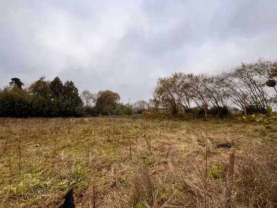 Excelente Parcela De 6000 M2  A Pocos Minutos  De Talca