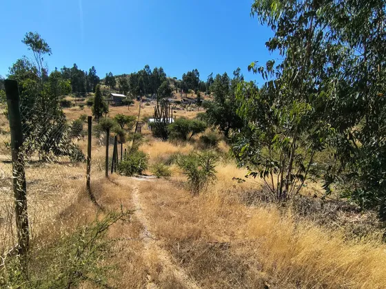 Terreno Plano Con Una Pequeña Quebrada En Sector Semi Urbano