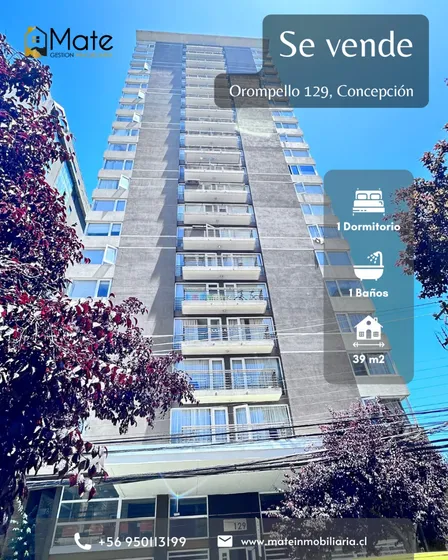 Se Vende Departamento 1d 1b, Centro De Concepción 