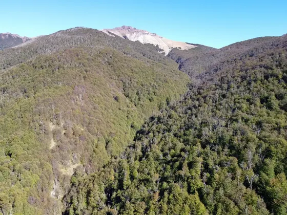 Campo A 1 Hora De Coyhaique Con Extraordinaria Vista