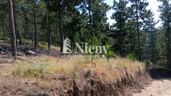 Terreno En Venta Boyeruca