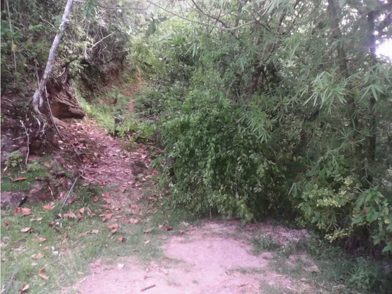 Terreno San Diego De Los Altos