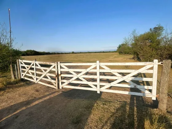 Venta Campo En Sa Pereira