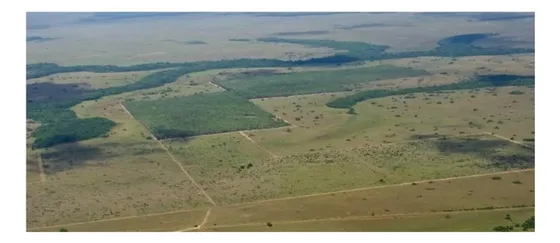 Venta Hacienda Productiva Puerto Gaitan - Meta - 1.472 Hectareas