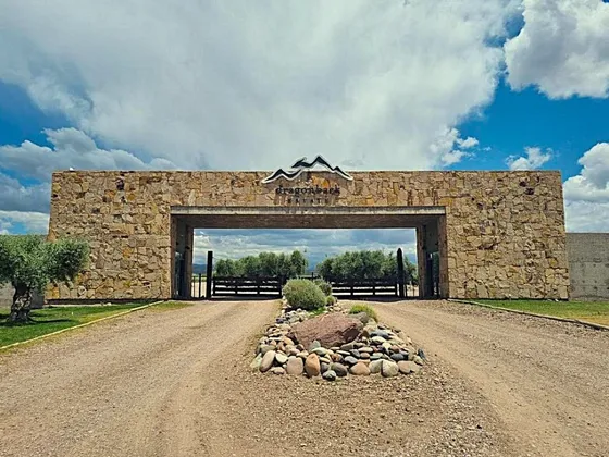  Venta De Finca En Produccion, Alto Agrelo Mendoza