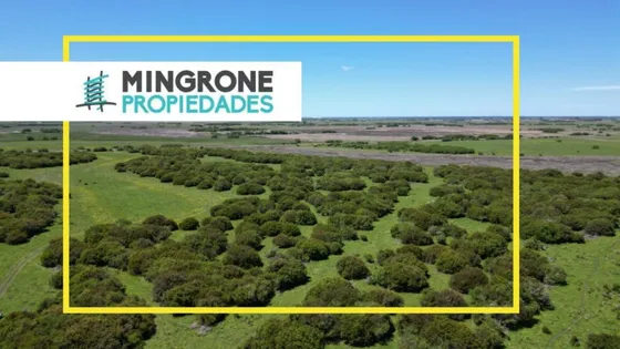  Campo En Gral. Madarigada 40h