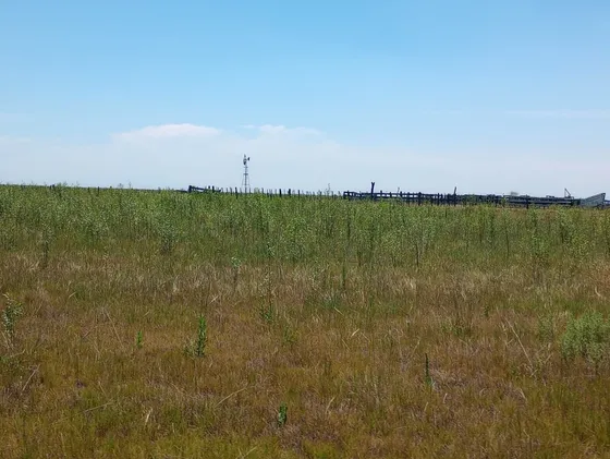 Campo, 5,200 Ha Agrícola.