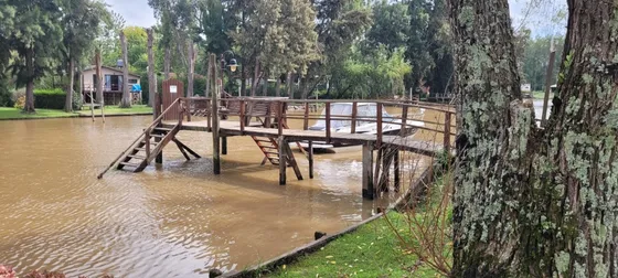 Isla Tigre Casa En Venta Primera Sección Islas Del Delta Tigre Sobre Arroyo Espera Dueño Directo