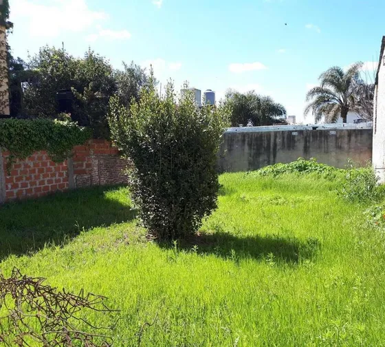 Nuevo Valor. Lote Sobre Avenida - 10 X 22m - S.a. De Padua