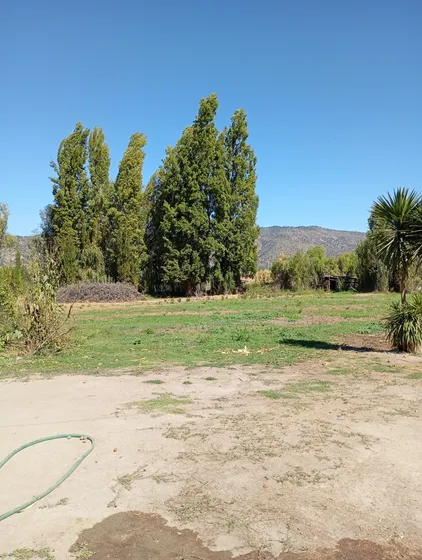 Terreno 1.3 Hectárea 
