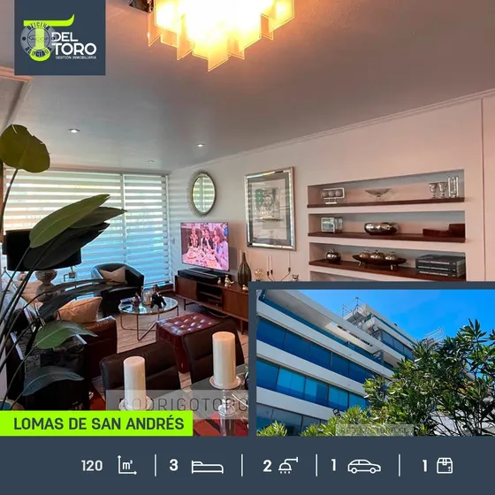 Departamento Venta De 3 Dorm. En Lomas San Andrés.concepción