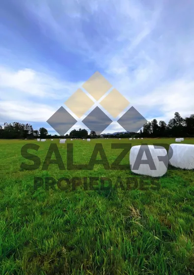 Se Vende!!   Reserva Palguin Lote 5 Panguipulli. Los Rios 