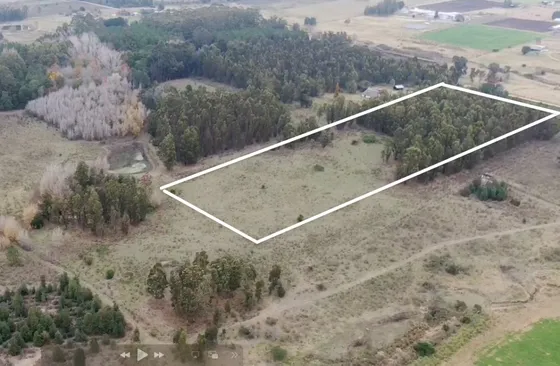 Excelente Oportunidad Campo 4 Hectáreas A La Altura Ruta 8 Km 45 Hermosa Zona 75 Mil Dólares