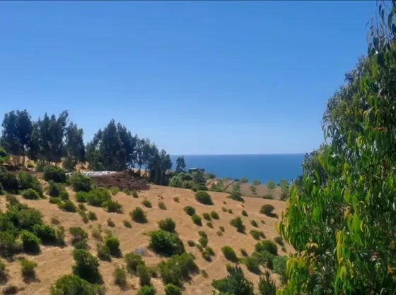 Parcela De 5.000 M2 | Vista Al Mar | Electricidad | Lobos De