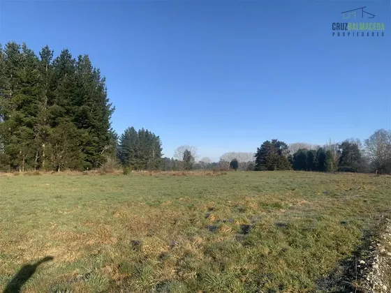 Parcela En Venta En La Reserva De Frutillar