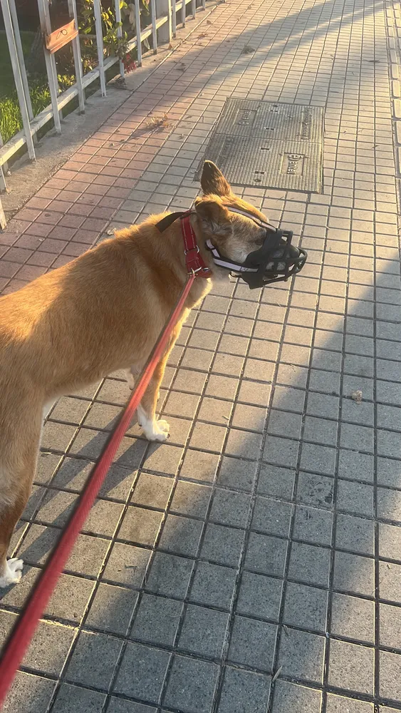 Foto del producto compartida por el comprador 2 de 2