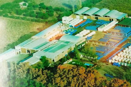 Gran Propiedad Industrial En Venta  Buena Nueva