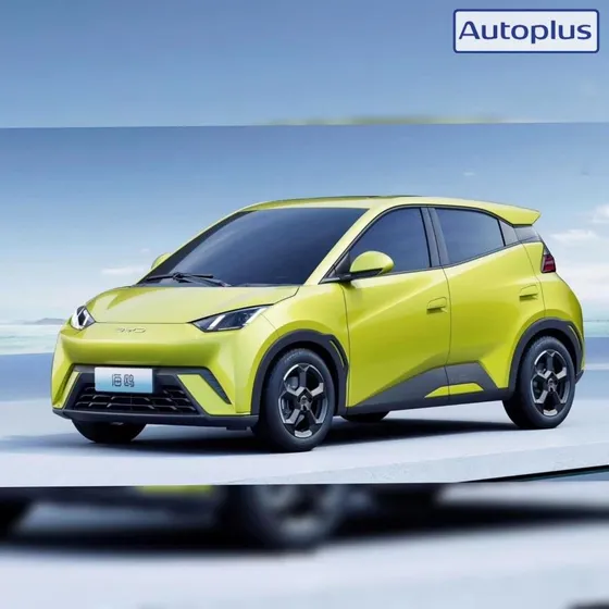 Byd Seagull -