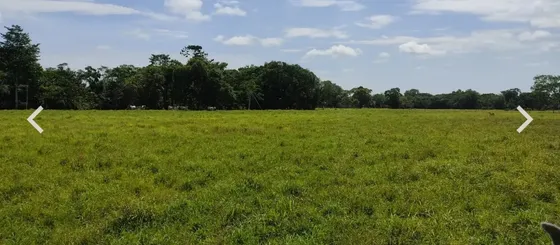 Finca Florencia Caqueta 