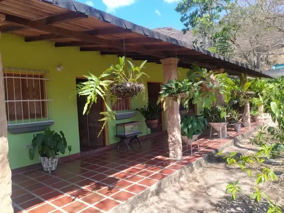 Yia En Venta Hermosa Finca En Montalban - Carabobo