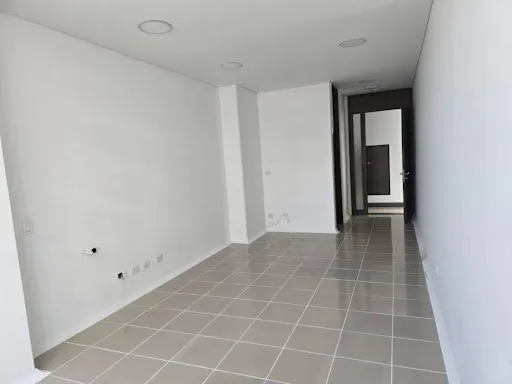 Consultorios En Arriendo Santa Ana 462-1051
