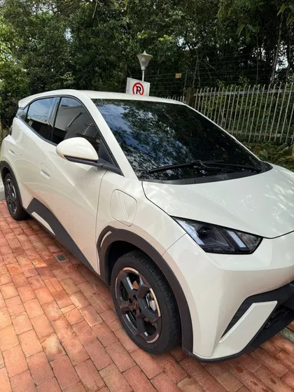 Byd Seagull 0.0 Gl 300