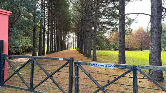 Haras En Venta 52ha Lujan