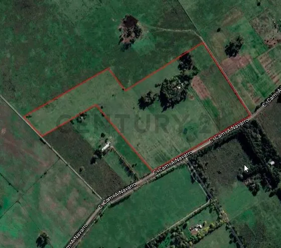 Venta  Campo 28 Hectáreas En  Gral. Rodriguez