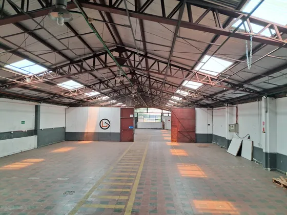 Industrial 600 Mts Macul.
